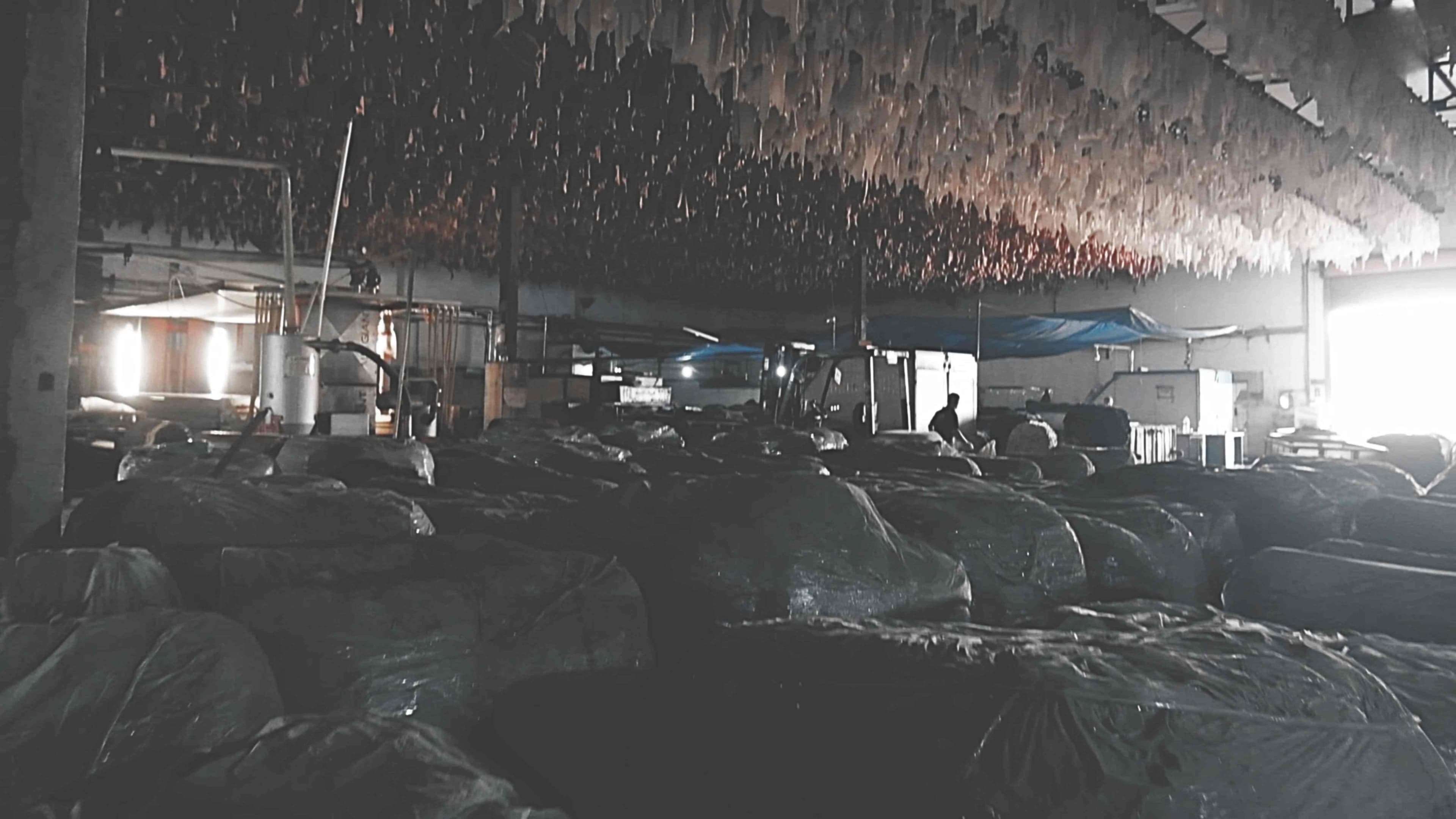 CM Deri uretim tesisi