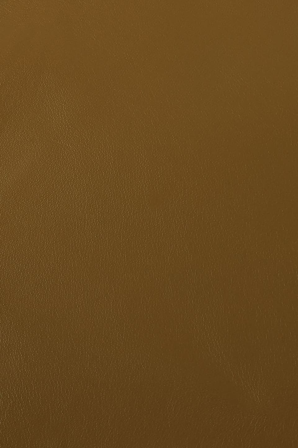 Camel lamb nappa